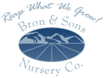 Bron & Sons Logo