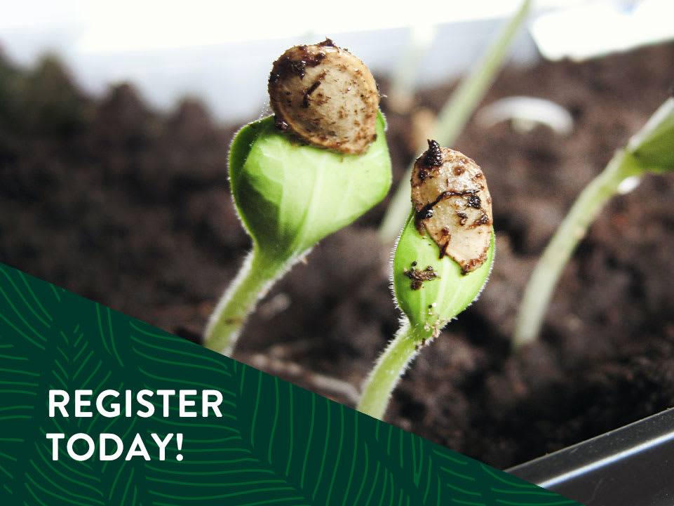 ProGreen Expo 2024