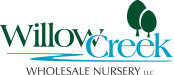 Willow Creek