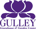 Gulley