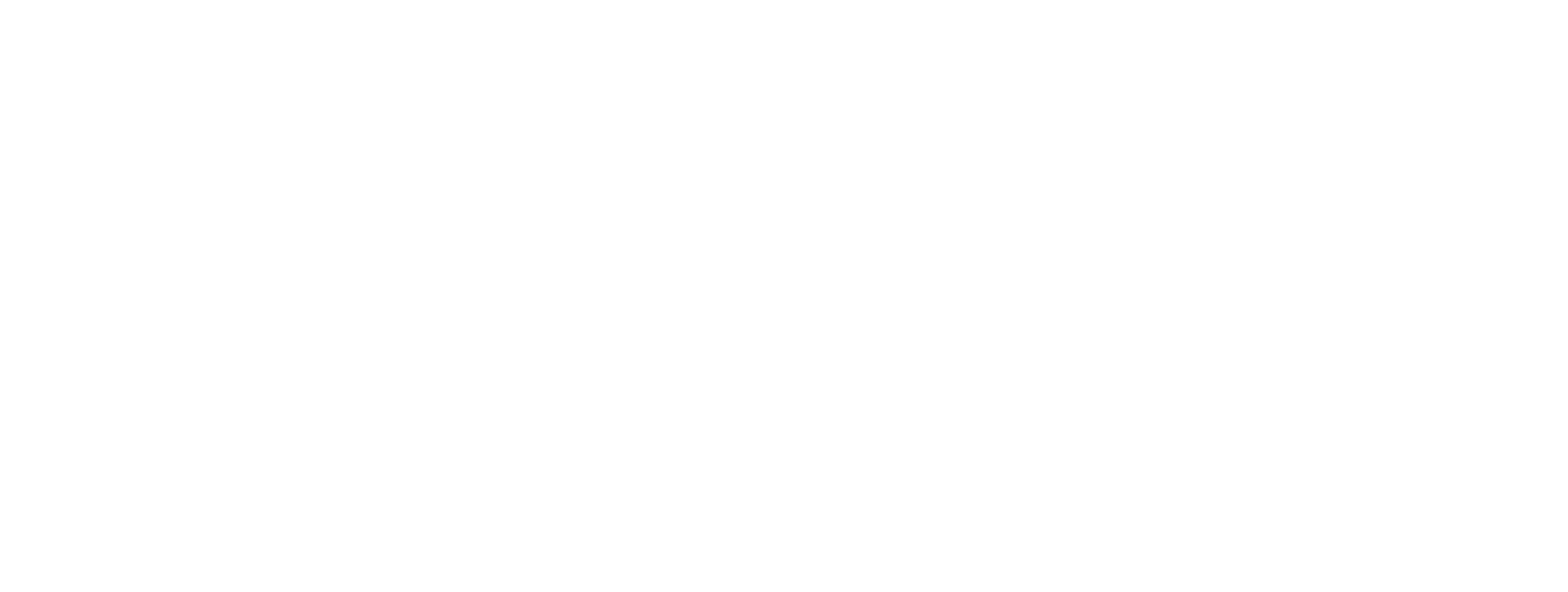 Select Global Women in Tech