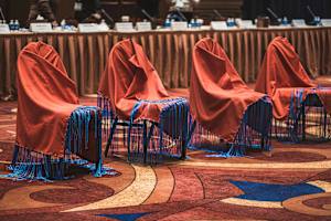 Government-to-Government Violence Against Women Tribal Consultation | October 28-30, 2025
