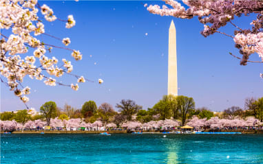 Washington, D.C. Washington Monument Photo