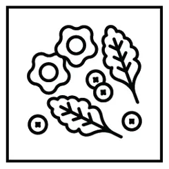 Women in Green Luncheon Graphic