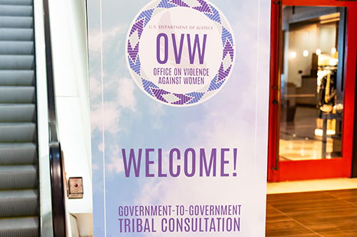 2023 OVW Consultation Photo