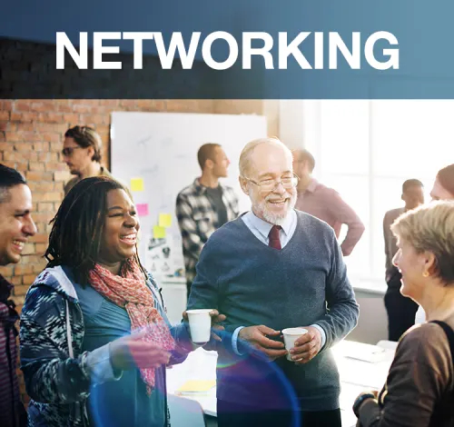 Networking Graphic