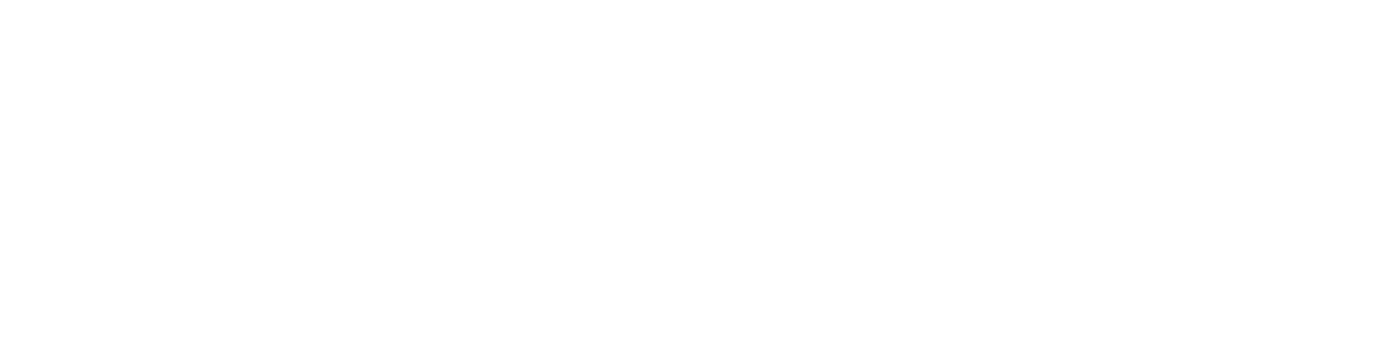Endocrine Society Logo
