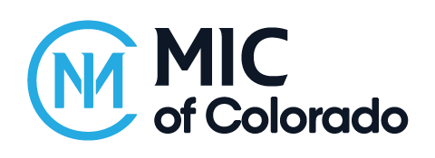 23rd Annual MIC Logo